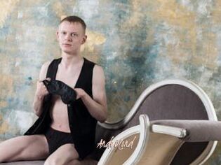 AndyBlond