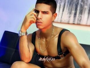 AndyRobins