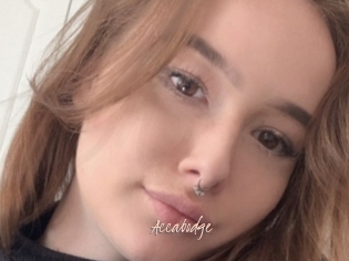 Accabodge