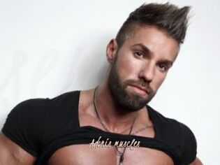 Adonis_muscles