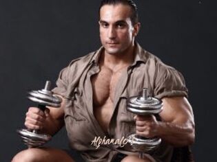 Alphamale78