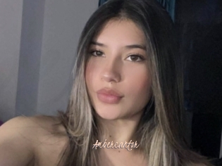 Ambercantor