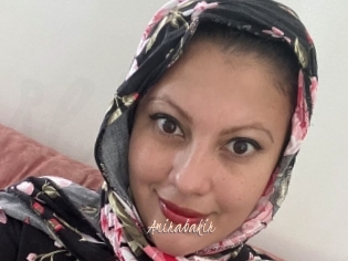 Amirabakir