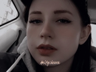 Amitychesser