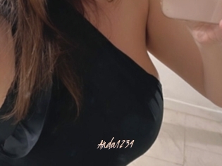 Anda1234