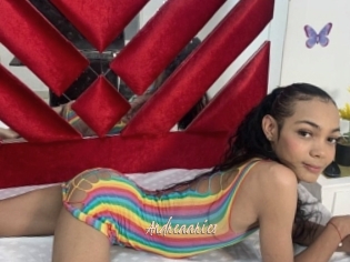 Andreaaries