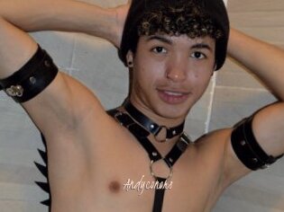 Andyconors