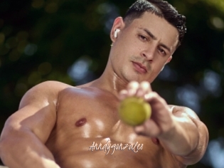 Anndygonzales