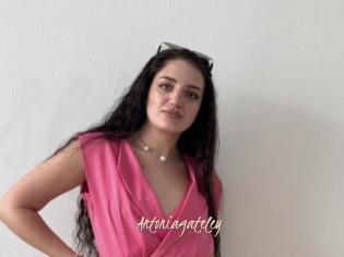 Antoniagateley
