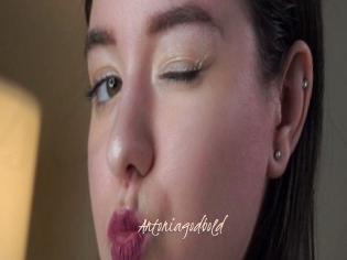 Antoniagodbold