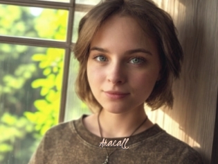 Aracall