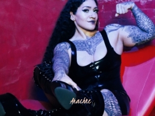 Arachne