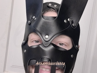 Averagehousebunny