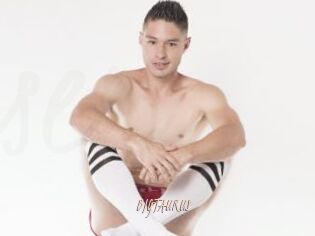 BIGTAURUS
