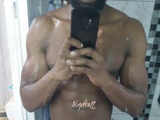 Bigdbull