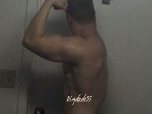 Bigdude55