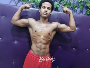 BlackBodyX