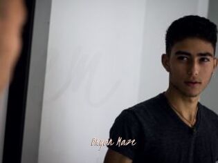 Bryan_Maze