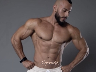 Bigmusclet