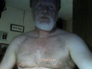 Blondebear