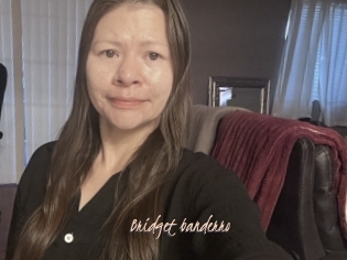 Bridget_banderro