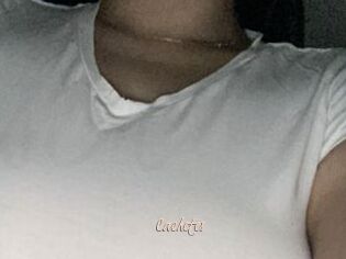 Cachetes