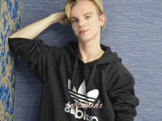 CalvinHardie
