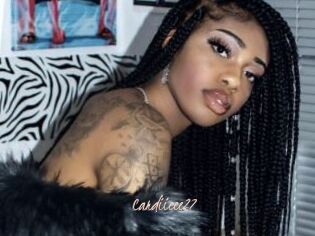 Cardiieee27