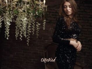 ChloeBird