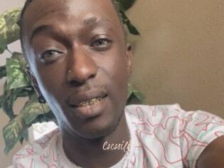 Cocosilk