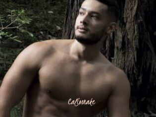 Calixsnake