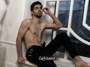 Calvinares