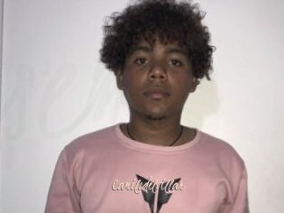 Camilodelvillar