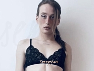 cammytrans Sexenmacht