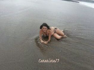 Canariona23
