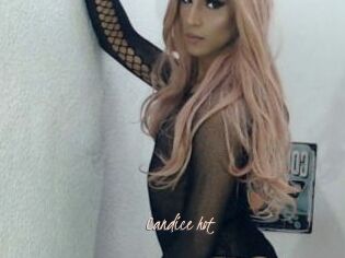Candice_hot