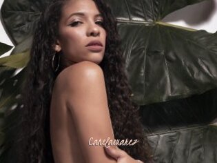 Canelasuarez