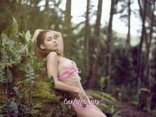Carletthonsonx