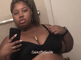 Carmellathabbw