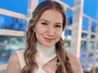 Cateclutter