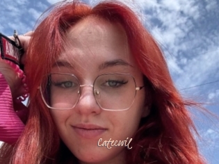 Catecovil