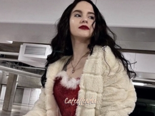 Cateellender