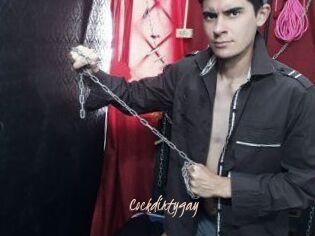 Cockdirtygay