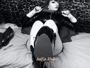 Dahlia_Blaque