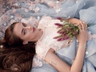 DreamSleep
