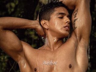 DukeHeat