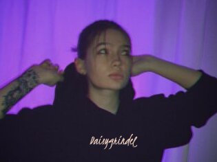 Daisygrindel