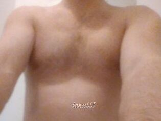 Damss663