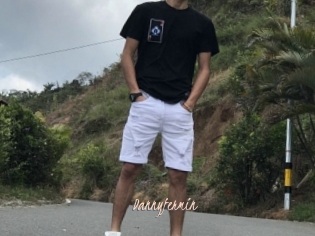 Dannyfermin