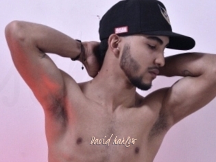 David_harlow